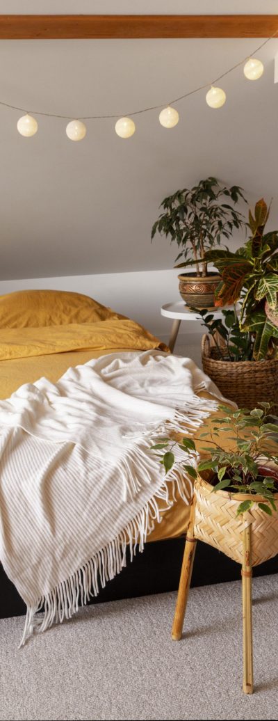 interior-design-minimalista-della-camera-da-letto-con-piante (1)